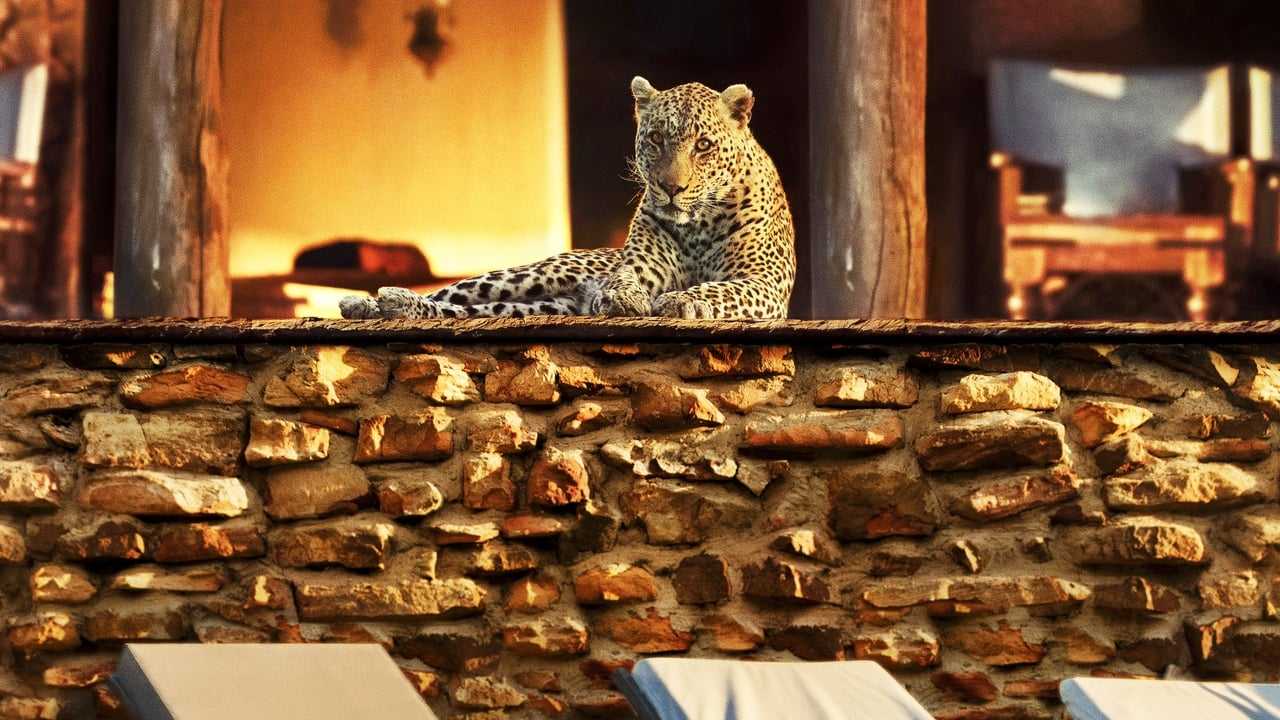 Кадр 1 з Рік, що змінив світ