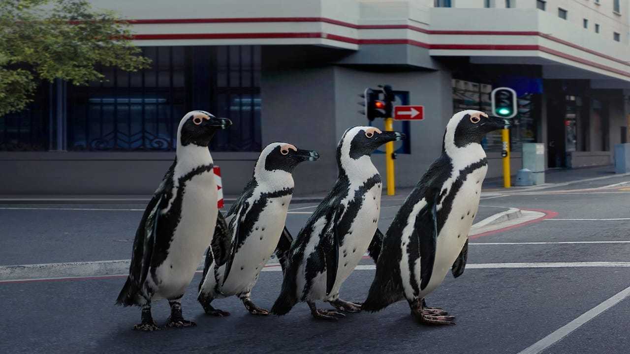 Кадр 4 з Рік, що змінив світ