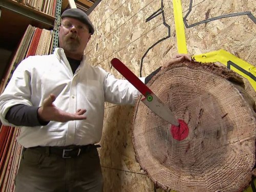 Кадр 1 з Руйнівники міфів 0-1 сезон