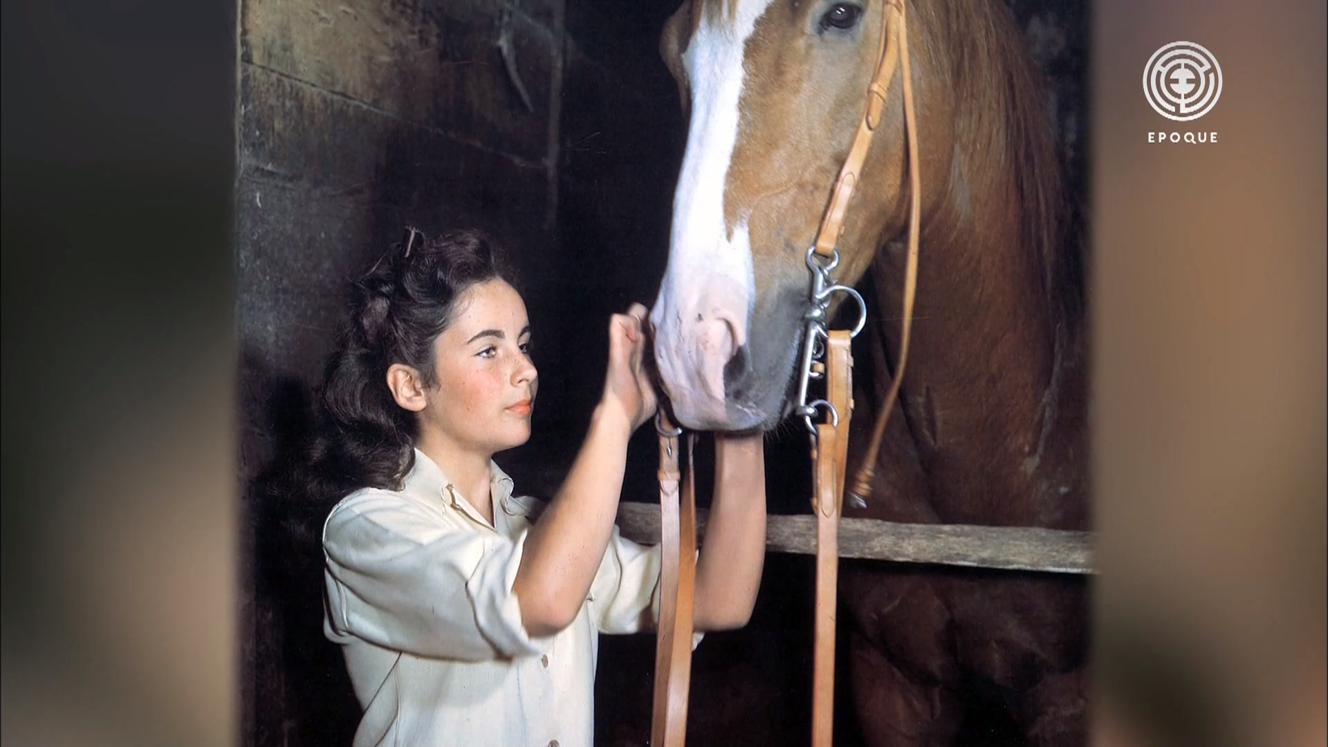 Кадр 2 з Різні обличчя. Елізабет Тейлор