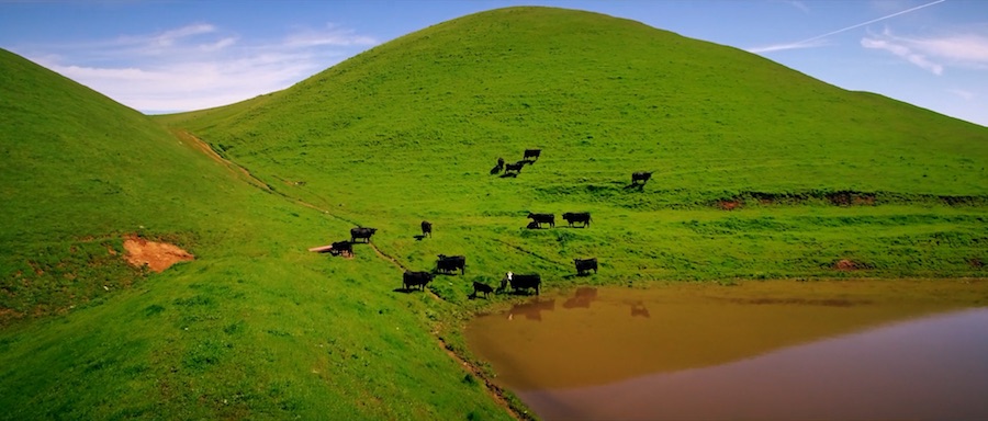 Кадр 3 з Щось нездорове