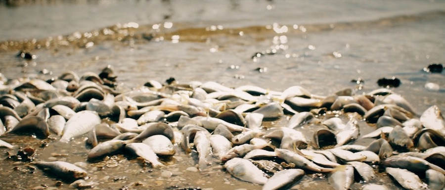 Кадр 4 з Щось нездорове