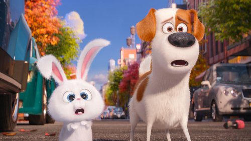 Кадр 1 з Секрети домашніх тварин