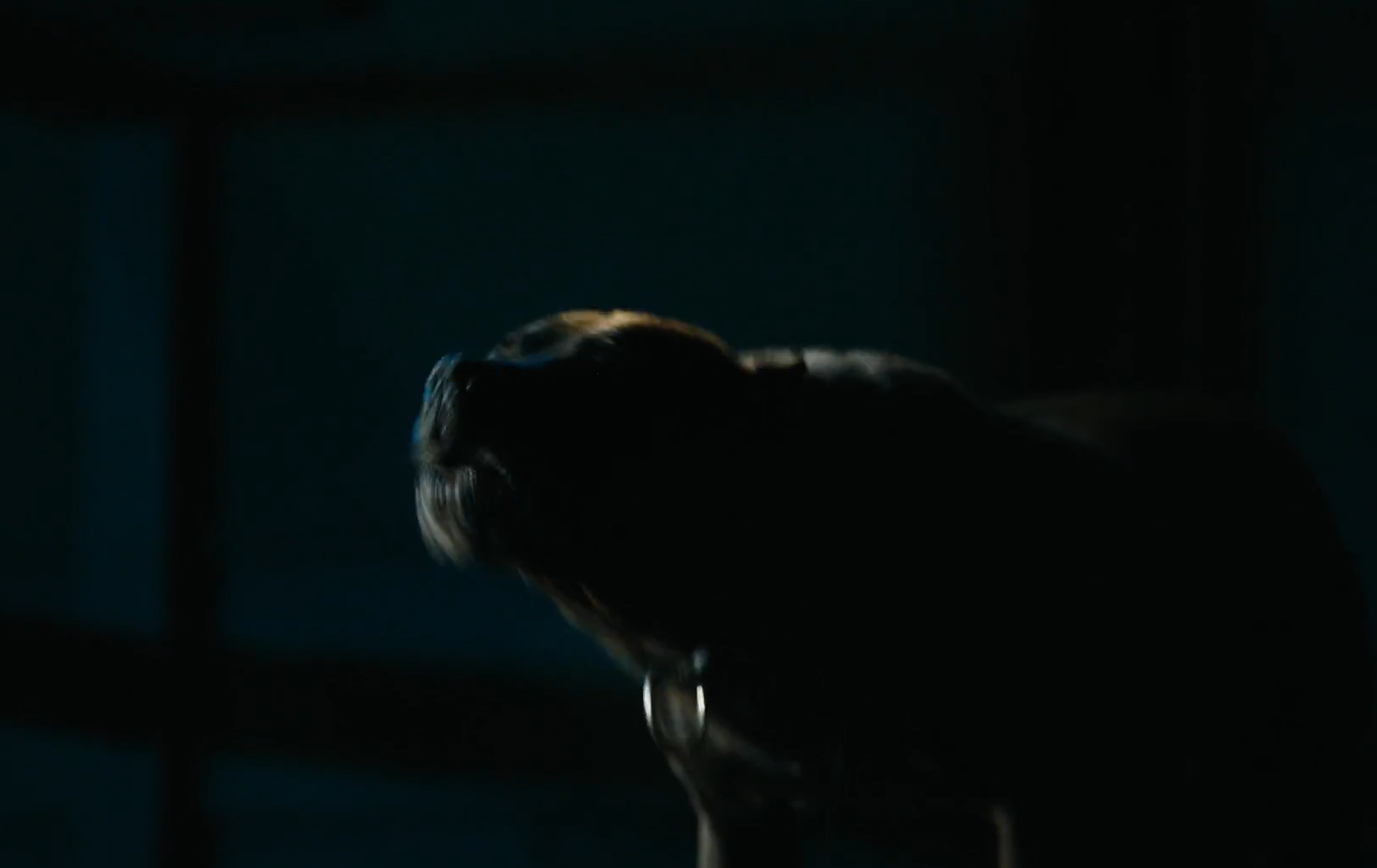 Кадр 4 з Слідопит 2 сезон