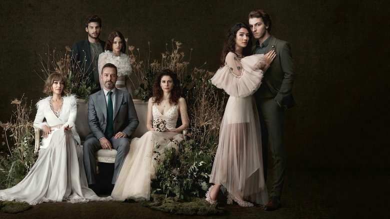 Кадр 1 з Соколиний пагорб 1 сезон