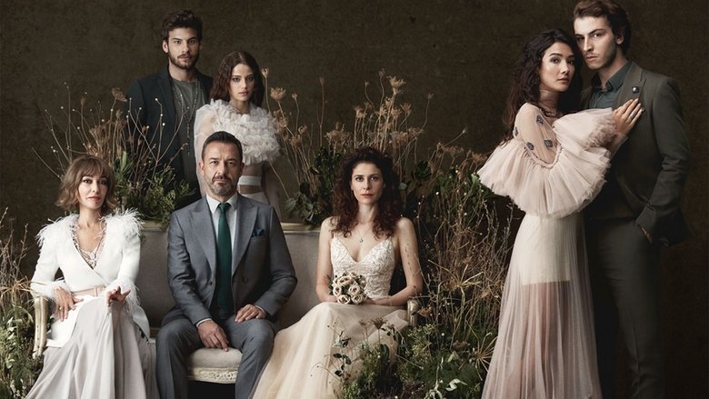 Кадр 3 з Соколиний пагорб 1 сезон