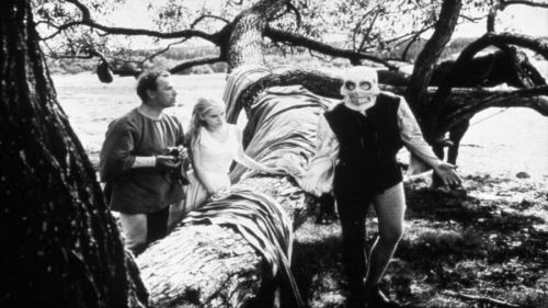 Кадр 2 з Сьома печатка