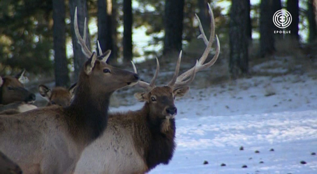 Кадр 2 з Стоунхендж. Відкриваючи заново