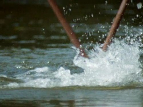 Кадр 2 з Світ природи 38 сезон