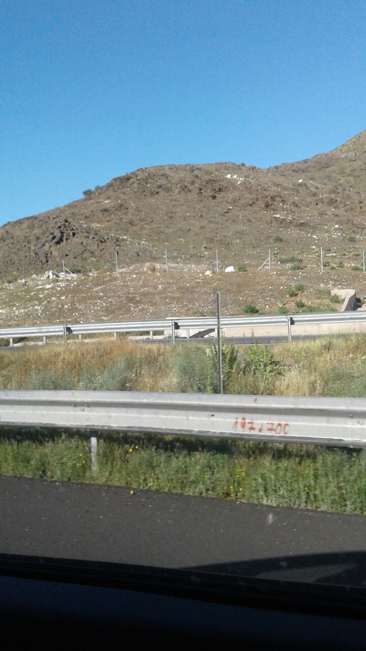 Кадр 3 з Таємне життя тварин 1 сезон