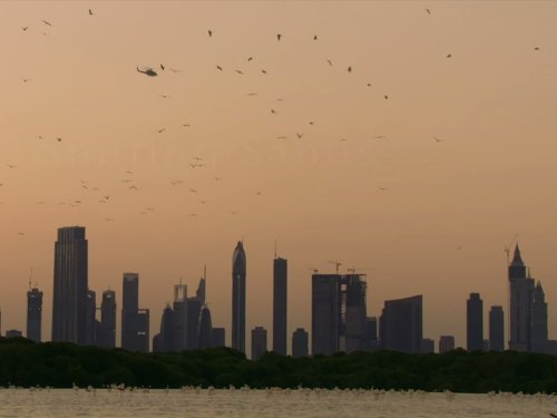 Кадр 1 з Таємнича Аравія 1 сезон