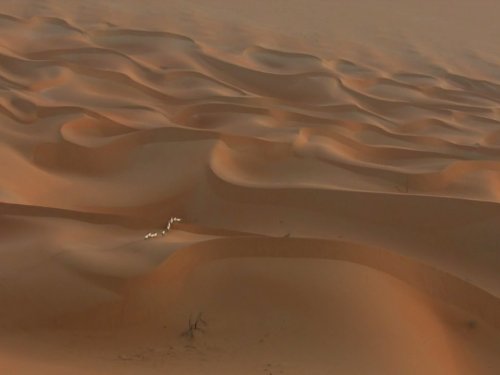 Кадр 3 з Таємнича Аравія 1 сезон