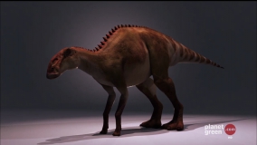 Кадр 2 з Таємниці динозаврів