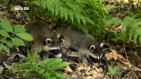 Кадр 2 з Таємниці Міссісіпі 1 сезон