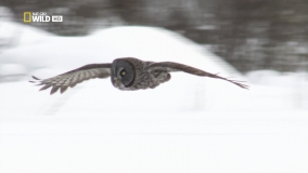 Кадр 3 з Таємниці Міссісіпі 1 сезон