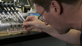 Кадр 1 з Таємниця зникнення бджіл