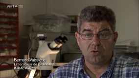 Кадр 4 з Таємниця зникнення бджіл