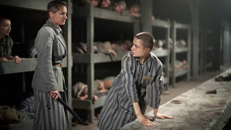 Кадр 4 з Татуювальник Аушвіцу 1 сезон