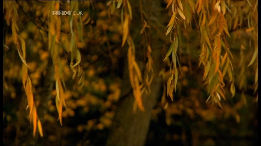 Кадр 4 з ВВС: Таємне життя хаосу