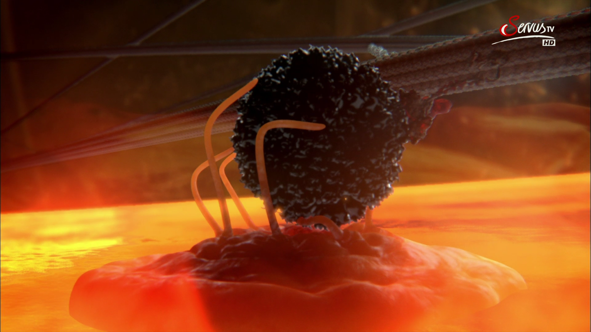 Кадр 2 з Таємниці клітини