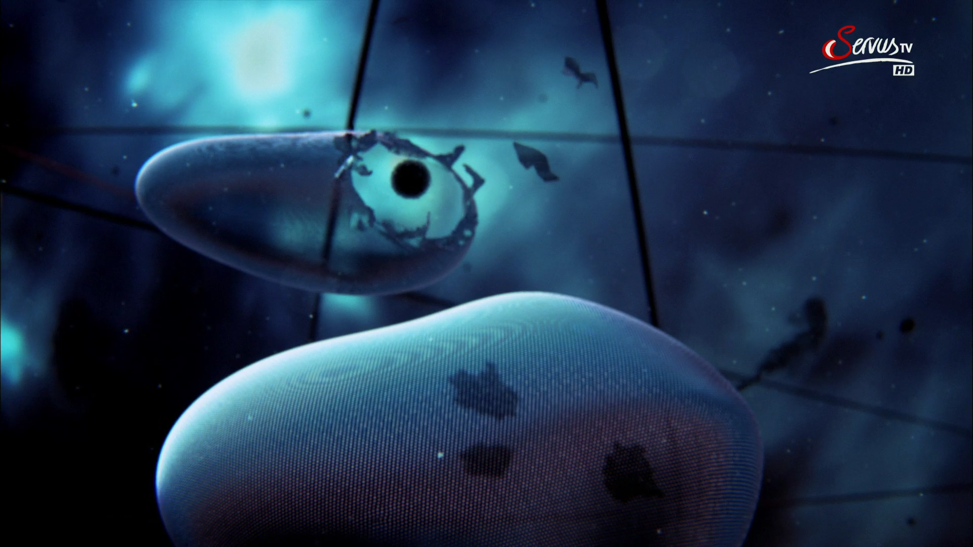 Кадр 3 з Таємниці клітини