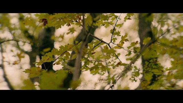 Кадр 1 з Таємниці неандертальців