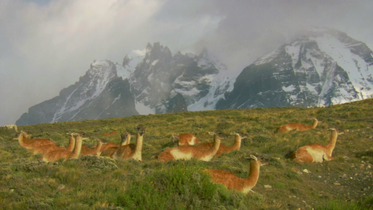 Кадр 1 з Таємнича Латинська Америка 1 сезон