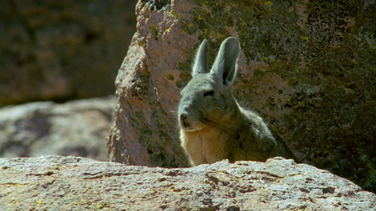 Кадр 2 з Таємнича Латинська Америка 1 сезон