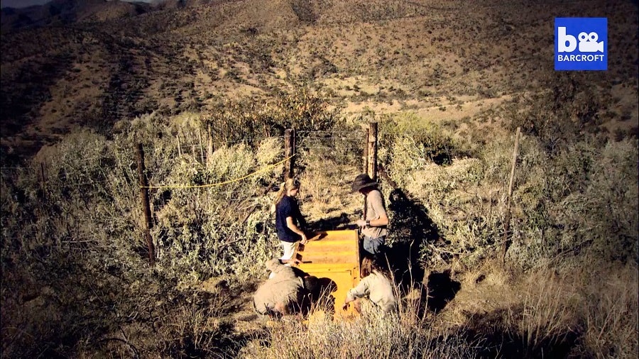 Кадр 2 з Територія гепардів