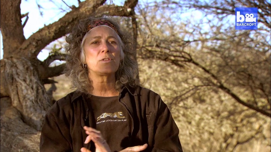 Кадр 3 з Територія гепардів