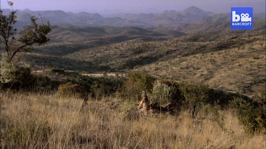 Кадр 4 з Територія гепардів