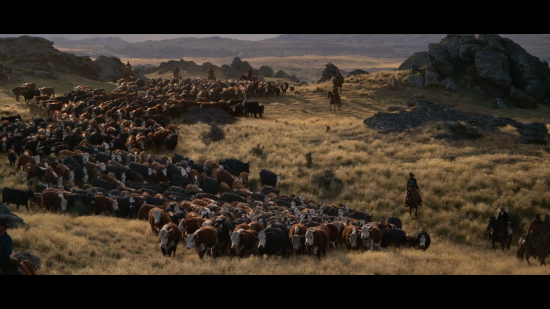 Кадр 1 з У руках пса