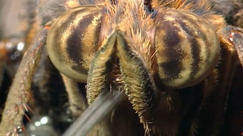 Кадр 1 з Усесвіт 1 сезон