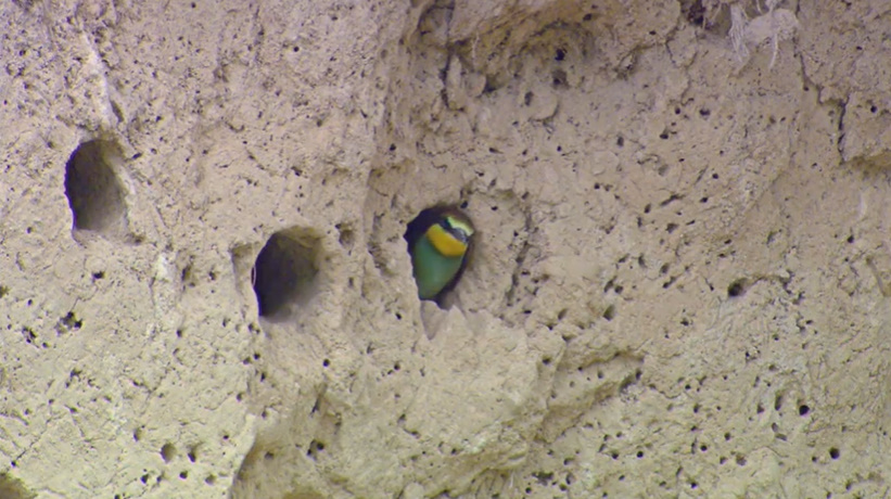 Кадр 2 з Усесвіт 1 сезон