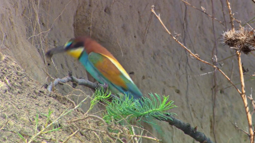 Кадр 4 з Усесвіт 1 сезон