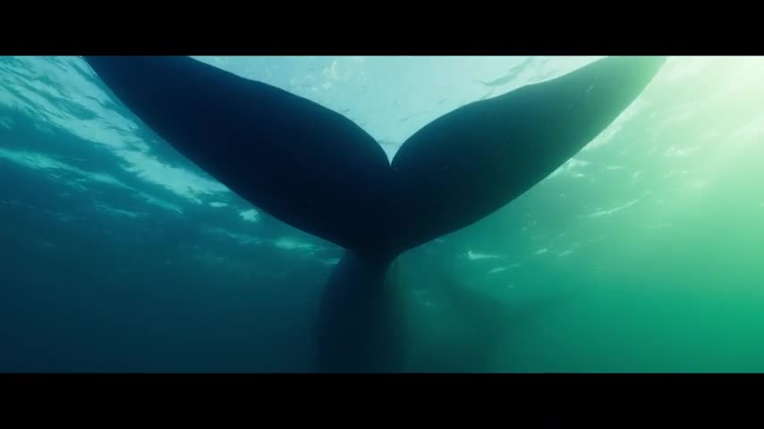 Кадр 2 з Вартові планети