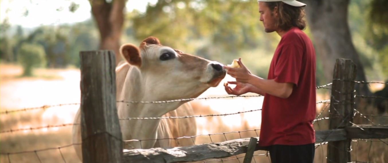 Кадр 2 з Велика рогата змова / Коровозмова