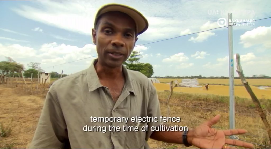 Кадр 3 з Велике зібрання слонів