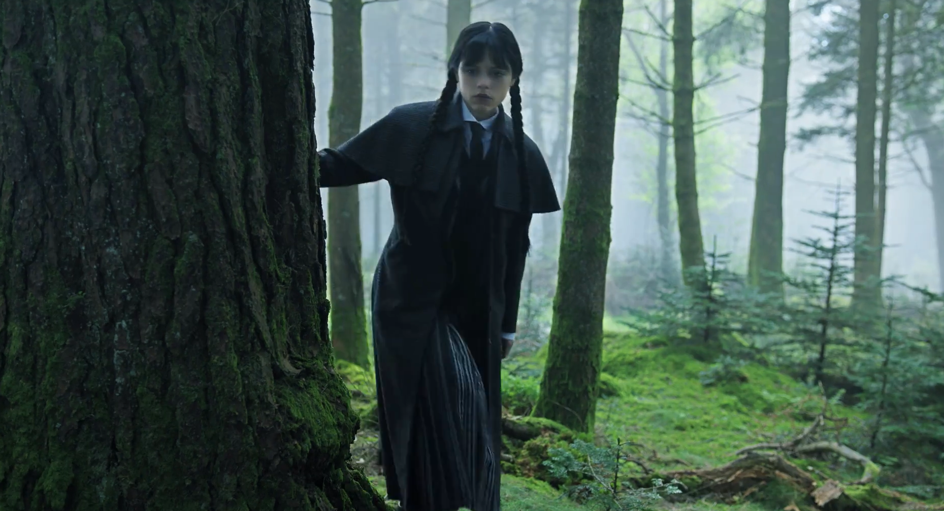 Кадр 2 з Венздей 2 сезон