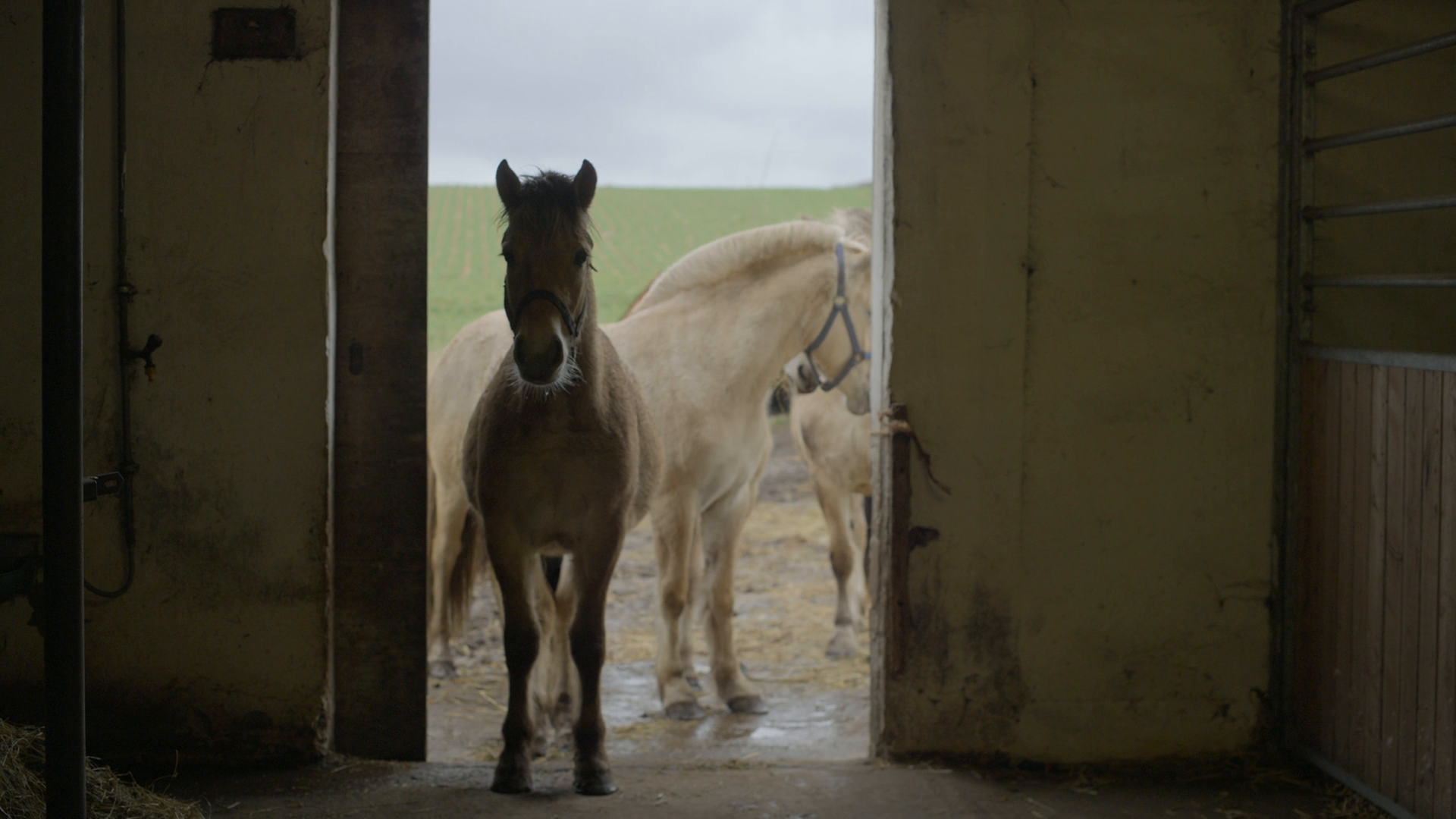 Кадр 2 з Вершниця з пекла 1 сезон