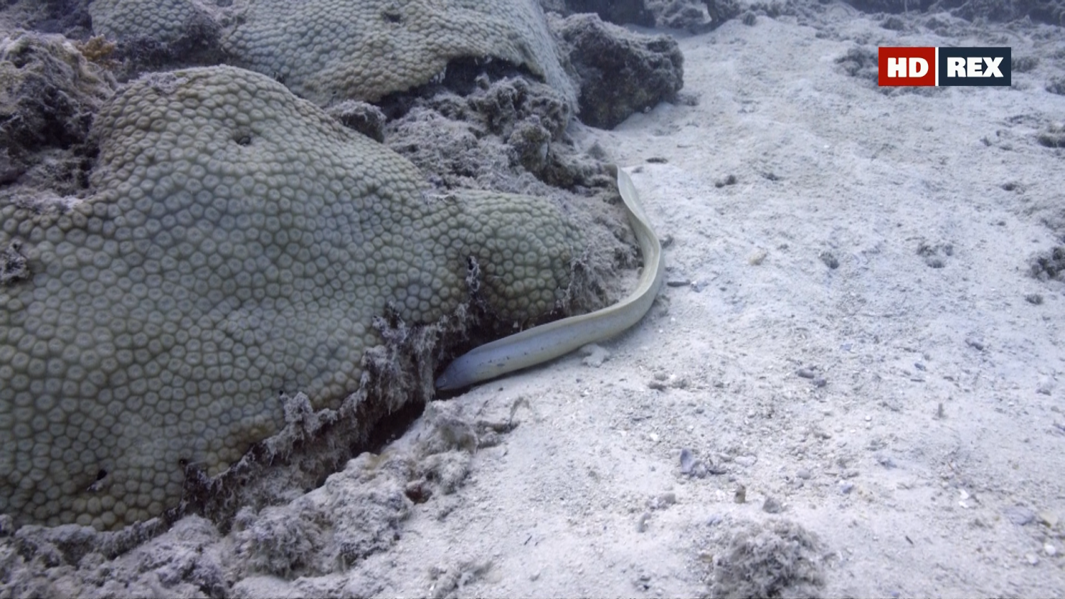 Кадр 3 з Вижити у рифах