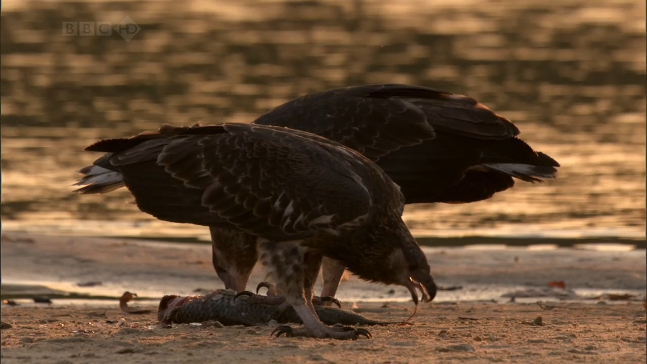 Кадр 2 з Водоспад Вікторія