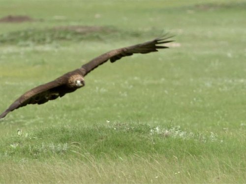 Кадр 2 з Володар прерій 1 сезон