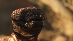 Кадр 3 з Володар прерій 1 сезон