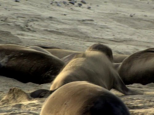 Кадр 4 з Володар прерій 1 сезон