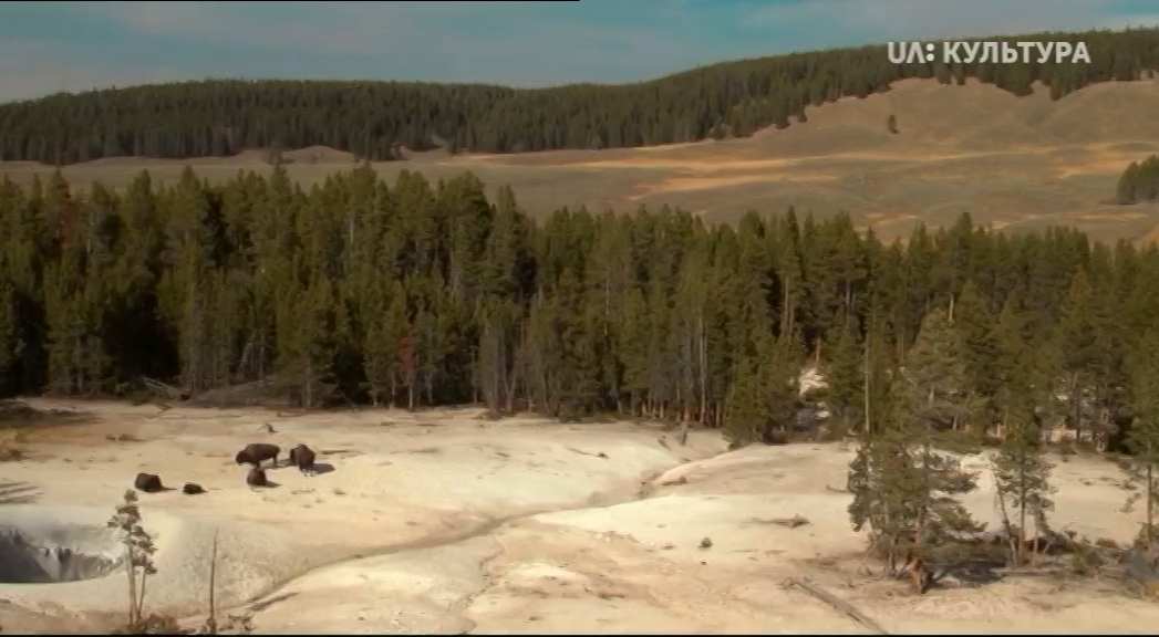 Кадр 2 з Всесвітня природна спадщина. США: Єллоустоунський національний парк