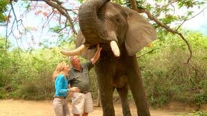 Кадр 1 з Заклинателі слонів