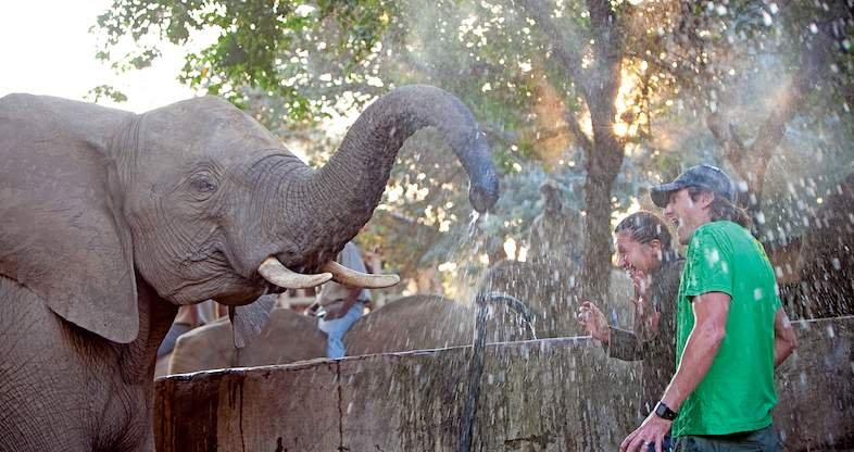 Кадр 2 з Заклинателі слонів