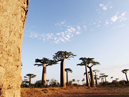 Кадр 3 з Земля: Сила планети 1 сезон