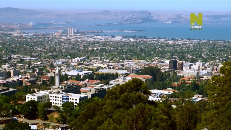 Кадр 1 з Земля. Код знищення